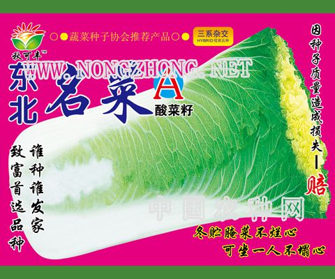 东北名菜A